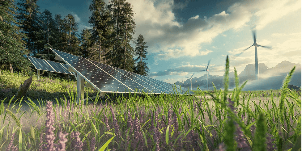 Green Energy is the Future - Our modern-day practices have caused us to question their negative effects on our environment and move towards more sustainable alternatives.