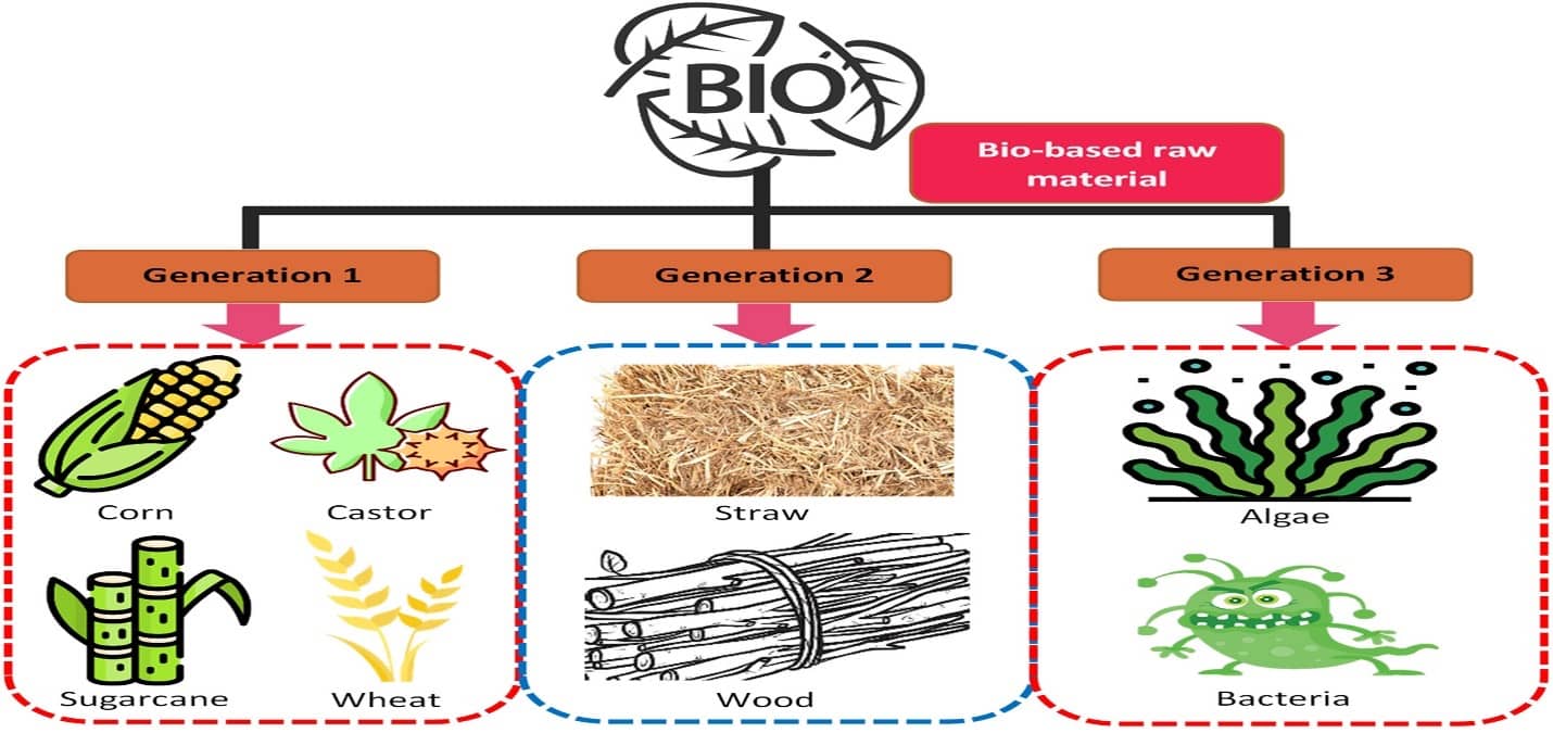 Renewable and Bio-Based Alternatives for Petrochemicals - Bioplastics can be categorized into three generations based on the types of feedstock used.
